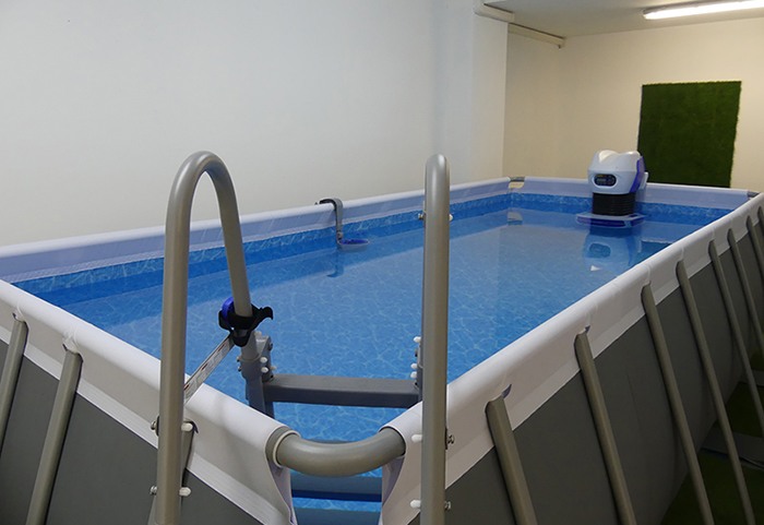 Piscina Nuoto e Allenamento Controcorrente - Palestra Gym Haus Seregno